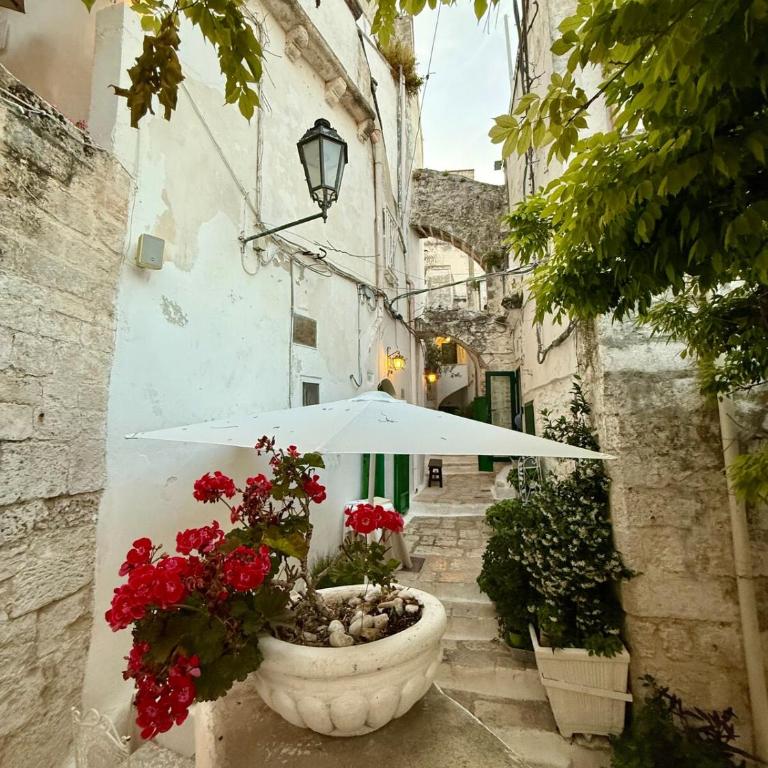 Casa Erika con terrazza panoramica - Casa con 2 Camere da Letto - 25