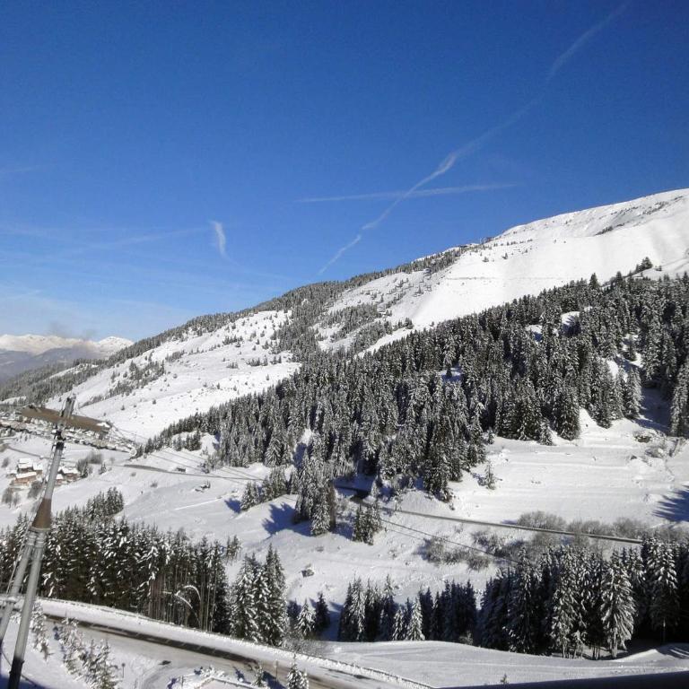 Appartement de charme à Méribel pour 4 pers. - Animaux admis - FR-1-182-41 - Appartement (4 Adultes) - 18