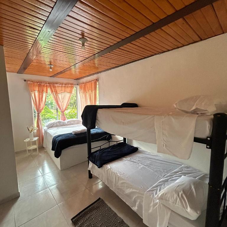 Hospedaje Las Ceibas - Habitación Familiar con baño privado - 1
