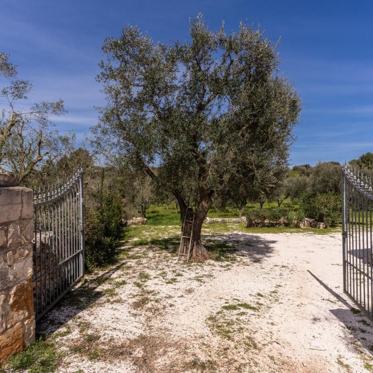 Trullo La Sacchina - Le Case di Valentina - Villa - 35