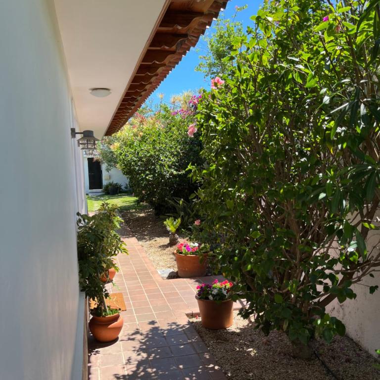 Casa Janni with heated private pool - Casa de 4 dormitorios - 30