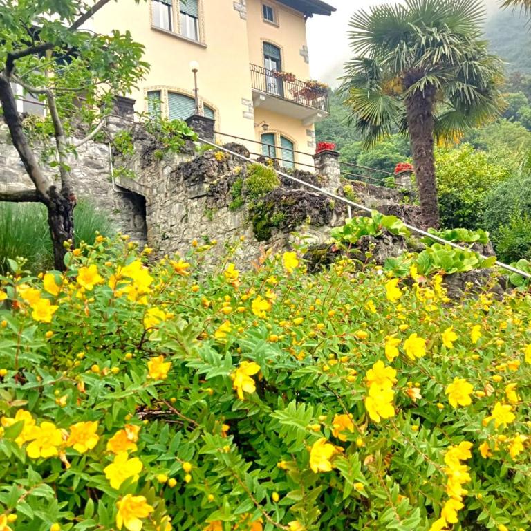Villa Silvana - Camera King - 9