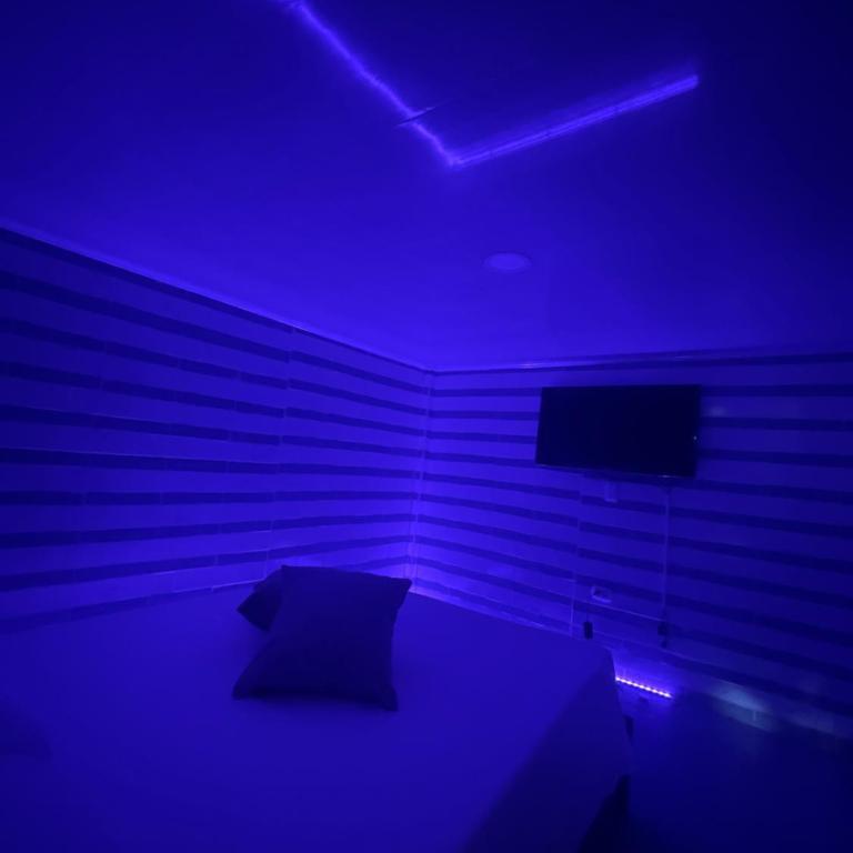 JB House - One-Bedroom Apartment - 1