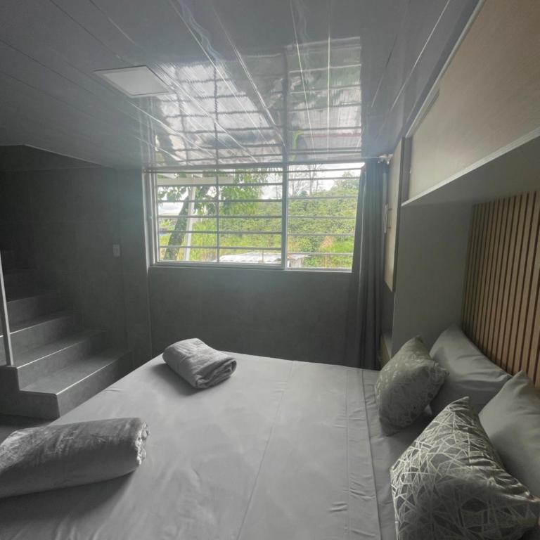 JB House - One-Bedroom Apartment - 6
