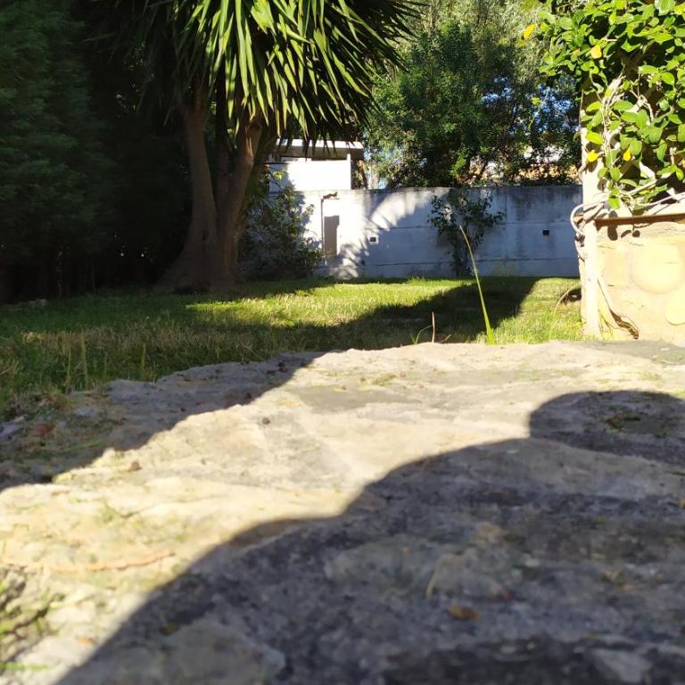 Villa con giardino sul lungomare - Vacation Home - 9