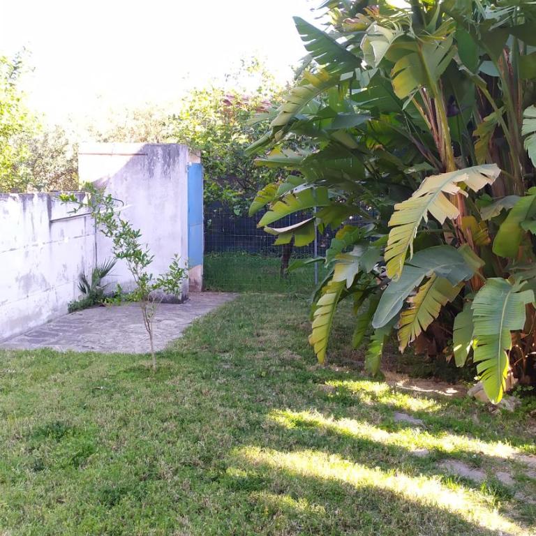 Villa con giardino sul lungomare - Vacation Home - 13