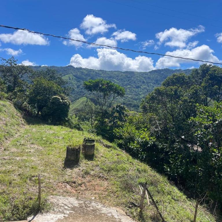 Aloha Campestre - Three-Bedroom Apartment - 20