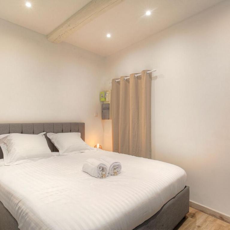 Beautiful bright apartment - Near Fourvière - Appartamento con 1 Camera da Letto - 8