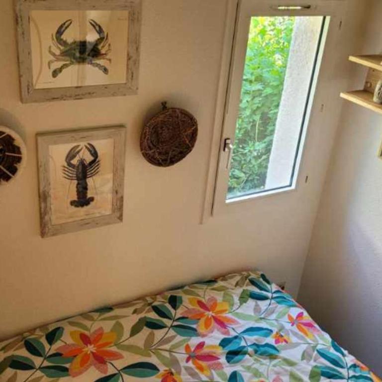 House 2p with swimming pool in La Grande-Motte - Maison de Vacances - 15