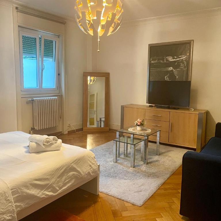 Lausanne superb 2 rooms apartment on the ground floor - Apartment mit 2 Schlafzimmern - 2