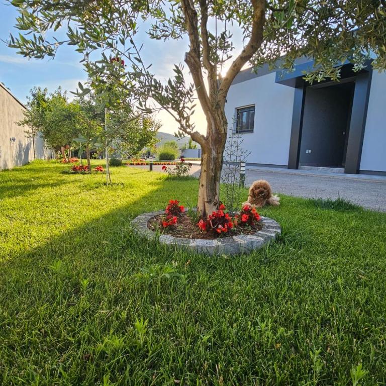Villa Vukas - Two-Bedroom Villa - 7