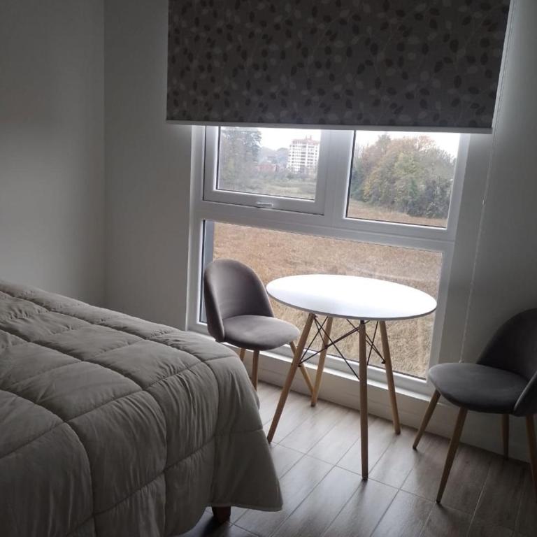 Apartamento en Valdivia Isla Teja - Apartamento de 1 dormitorio - 2