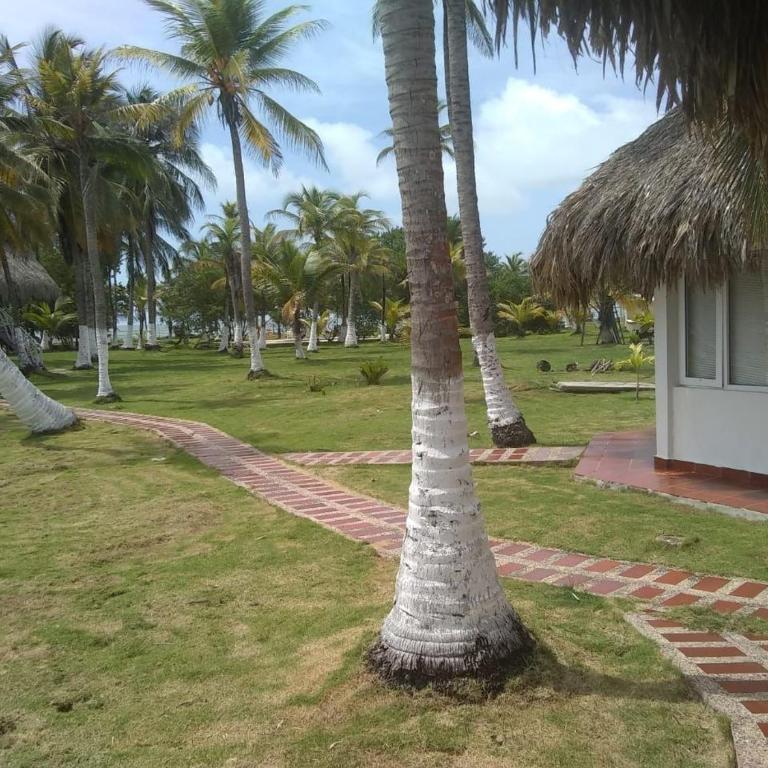 Punta Manzanillo - Casa de 8 dormitorios - 15