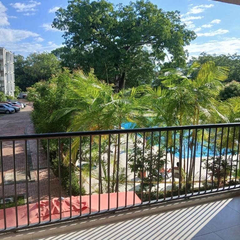 Apartamento Villa - Apartamento de 3 dormitorios - 2