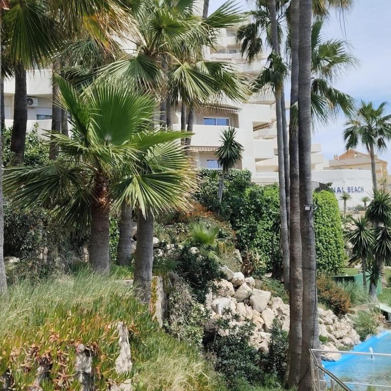 Beachfront apartment - Apartamento de 1 dormitorio - 28