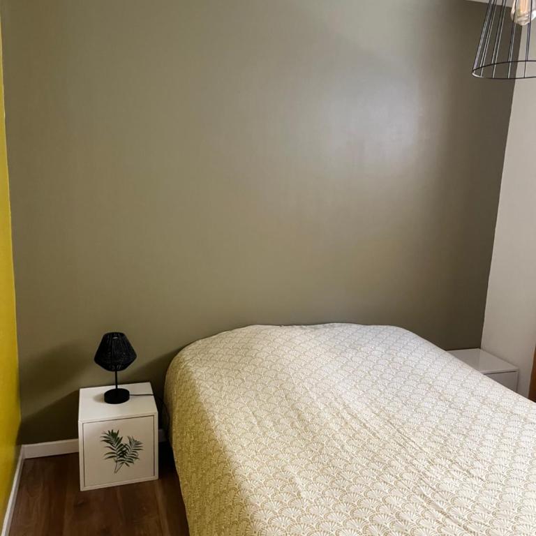 Le 24 carat appartement 3 pièces 50 m2 Beaurepaire - Appartement 2 Chambres - 10