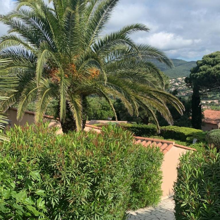Villa bellevue sainte maxime un écrin de verdure au cœur du sémaphore piscine XXL - Haus mit 3 Schlafzimmern - 16