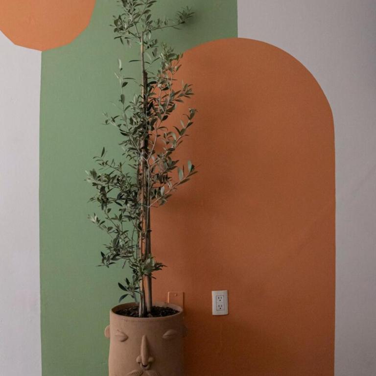 Casa Tortuga Centro, Diseño, Confort, Parking - Apartamento de 2 dormitorios - 17