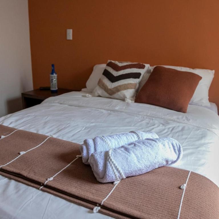 Casa Tortuga Centro, Diseño, Confort, Parking - Apartamento de 2 dormitorios - 23