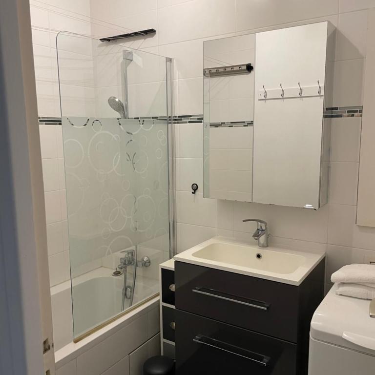 French Welcome - Appartement 1 Chambre Supérieur - 5