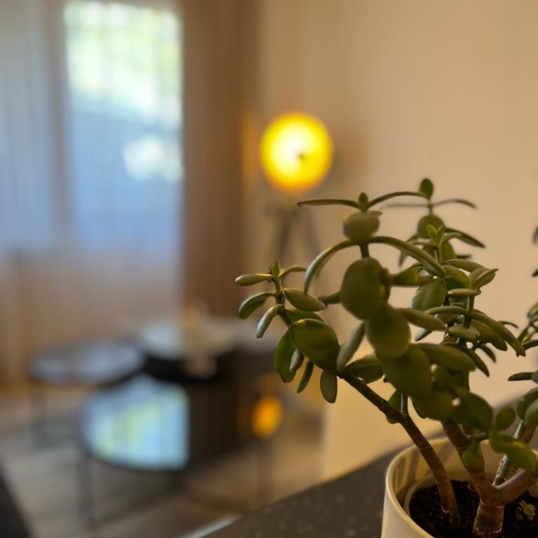 Apartment President - Apartman sa 3 Spavaće Sobe - 16