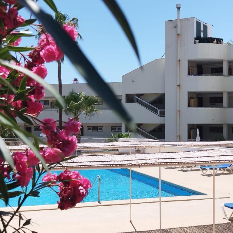 Sol del Sur Ocean View - Apartamento de 1 dormitorio - 19