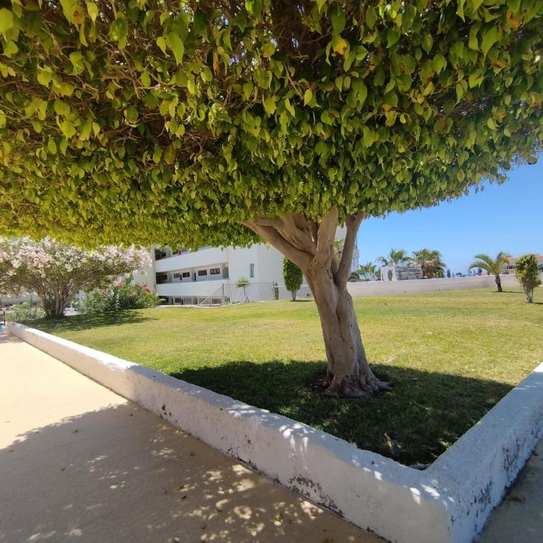 Sol del Sur Ocean View - Apartamento de 1 dormitorio - 35