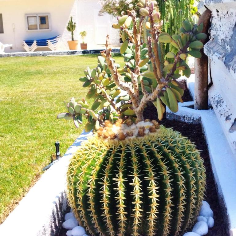 Sol del Sur Ocean View - Apartamento de 1 dormitorio - 24