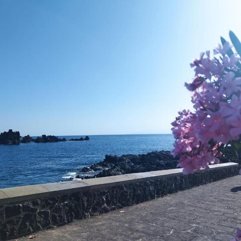 Sol del Sur Ocean View - Apartamento de 1 dormitorio - 59