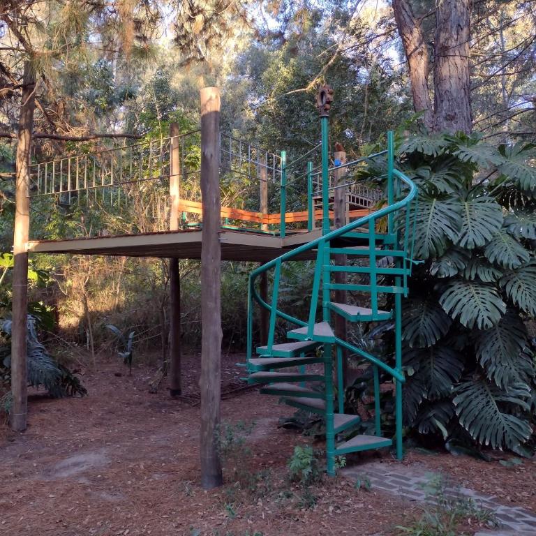 Sen de campo: viví la naturaleza - Casa de 2 dormitorios - 32