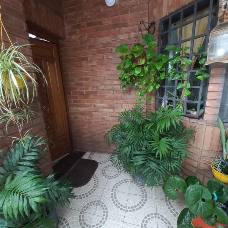 Departamento interno con dos camas individuales - Apartamento de 1 dormitorio - 38