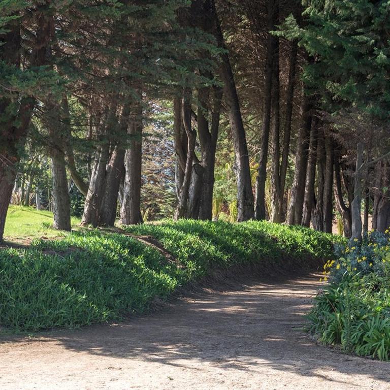 Relax in a charming house - Polo Maitencillo - Casa de 3 dormitorios - 16