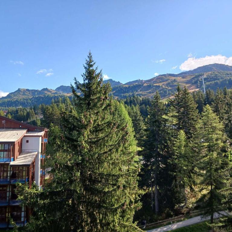 Studio mezzanine pour 5 personnes aux Arcs 1800 avec animaux admis - FR-1-411-964 - Appartement - 11