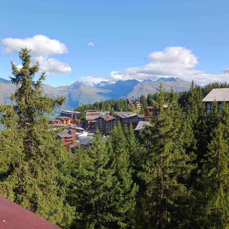 Studio mezzanine pour 5 personnes aux Arcs 1800 avec animaux admis - FR-1-411-964 - Appartement - 12