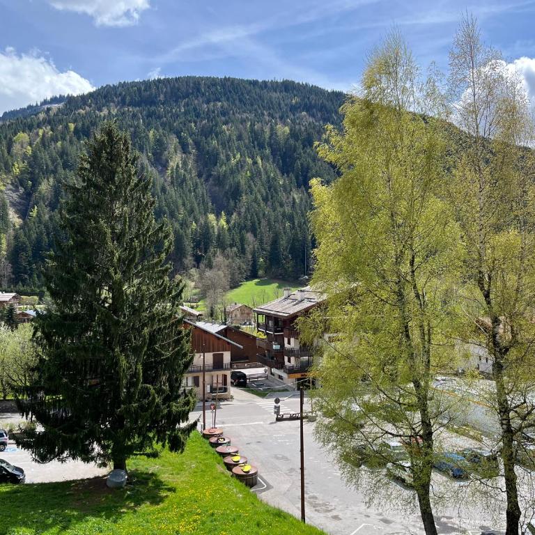 Bel appartement pour 5 pers. proche du centre et des pistes - Grand-Bornand - FR-1-467-146 - Apartamento - 8