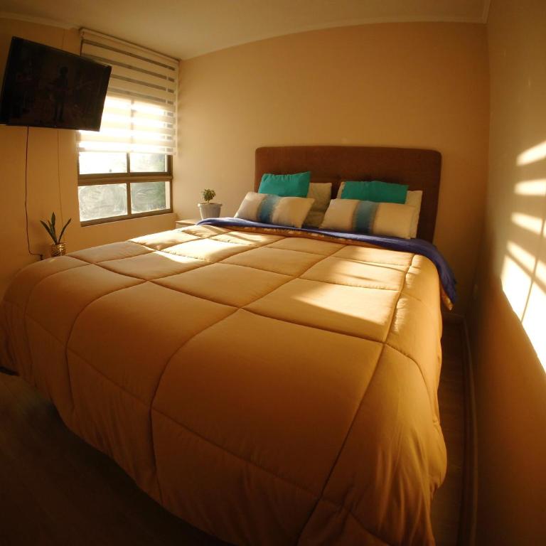 Departamento La Serena - Apartamento - 1