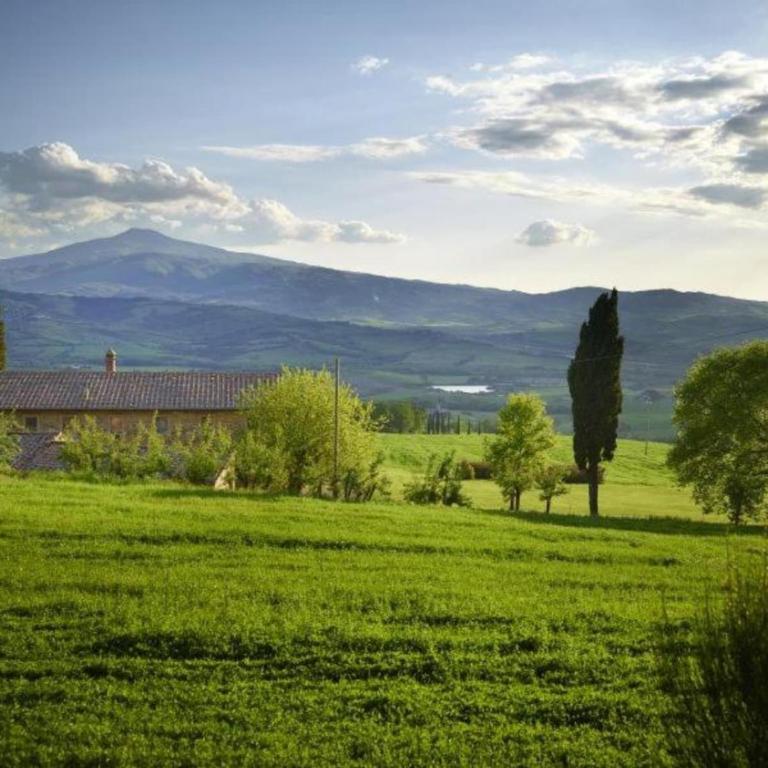 Modern Farmhouse in Pienza with Pool - Appartamento con 1 Camera da Letto - 29