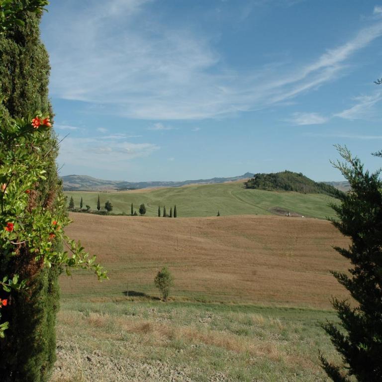 Modern Farmhouse in Pienza with Pool - Appartamento con 1 Camera da Letto - 23