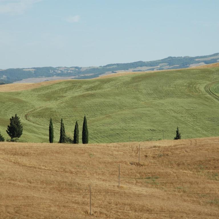 Modern Farmhouse in Pienza with Pool - Appartamento con 1 Camera da Letto - 21