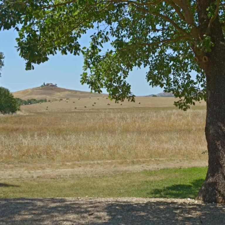 Modern Farmhouse in Pienza with Pool - Appartamento con 1 Camera da Letto - 26
