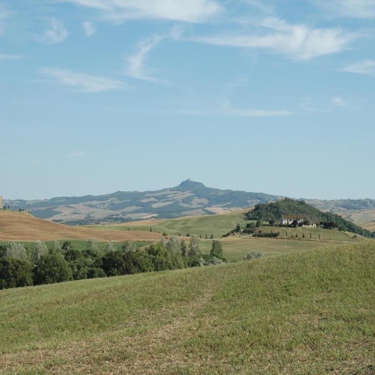Modern Farmhouse in Pienza with Pool - Appartamento con 1 Camera da Letto - 25