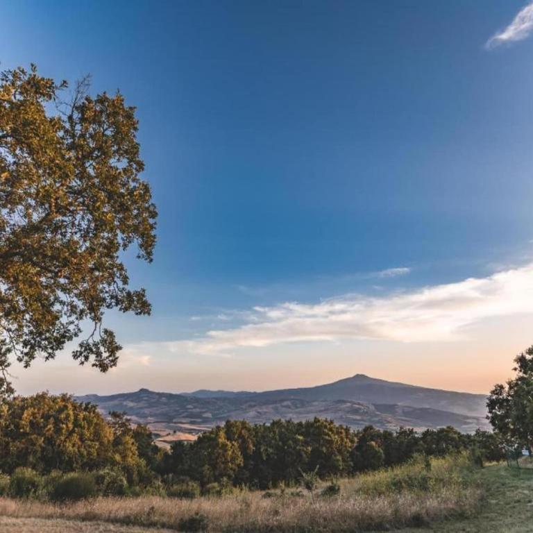 Modern Farmhouse in Pienza with Pool - Appartamento con 1 Camera da Letto - 30