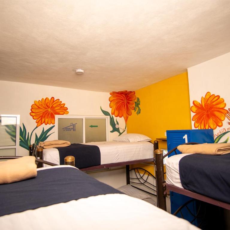 Hostal Talavera - Cama en habitación compartida femenina de 6 camas - 4