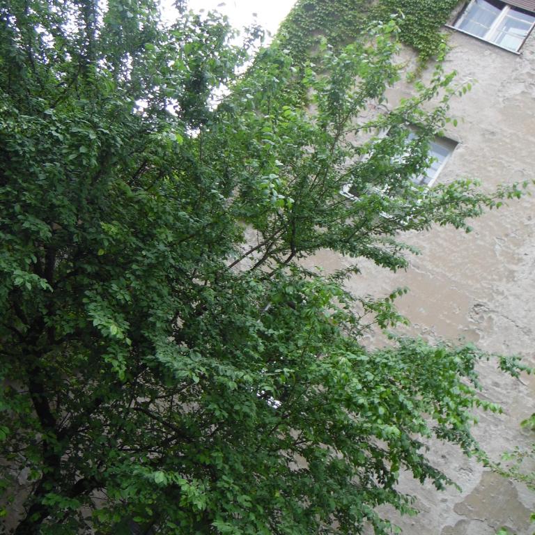 Apartment Vracar - Apartman sa 1 Spavaćom Sobom - 13