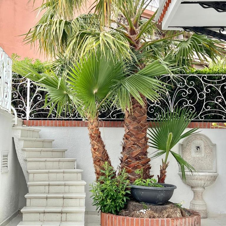 Villa Solaris - Villa - 10