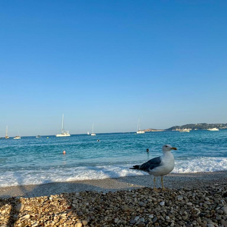 Santa Lucia Sea View - Apartamento de 3 dormitorios con vistas al mar - 66