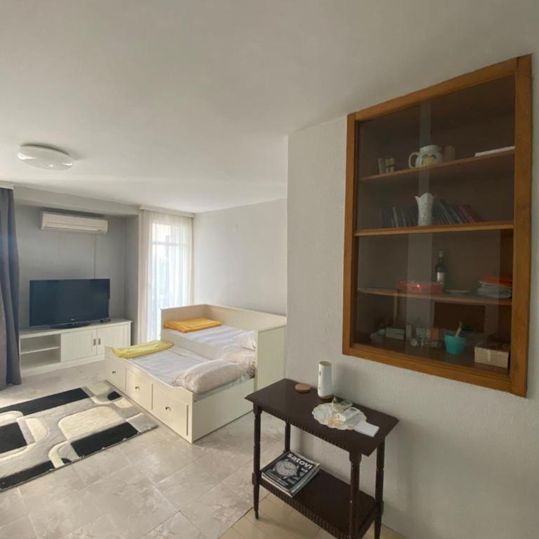 Centar, Kosta apartment - One-Bedroom Apartment - 10