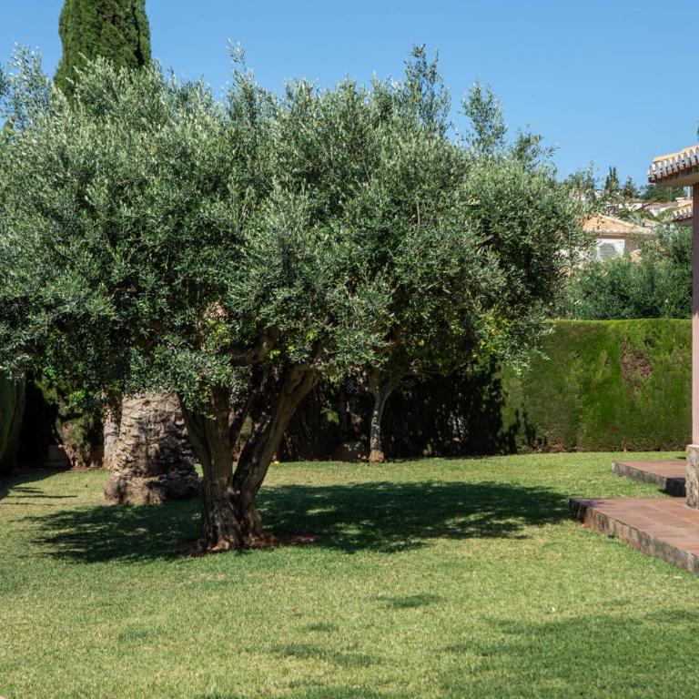 Villa Cuatro Soles en Denia, con piscina privada, jardín y terraza con barbacoa by Family Homes - Villa de 5 dormitorios - 43