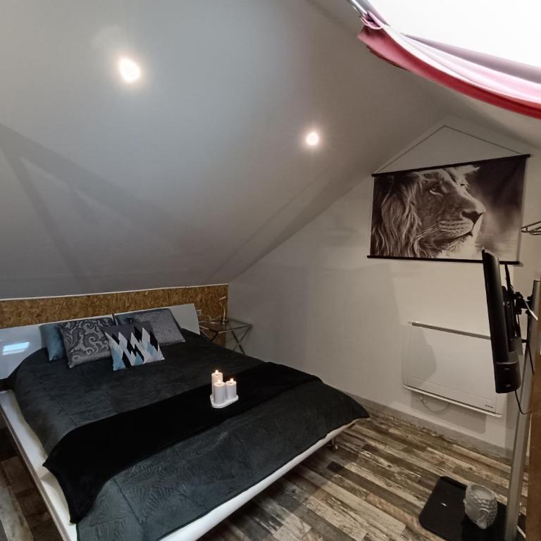 Gîte Sauna Balnéo Lâchez Prise Meublé de tourisme classé 3 étoiles VERTON - Casa con 1 dormitorio - 13