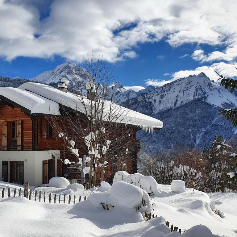 Grand chalet rustique à Gryon, avec vue et cheminée - Chalet - 2